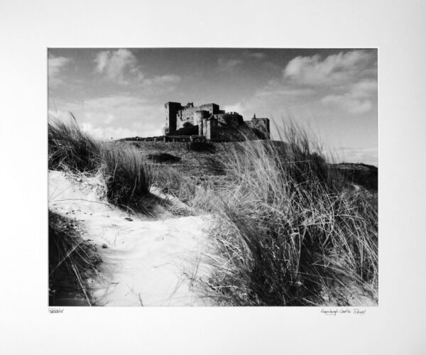 Northumberland Bamburgh Castle and Sand Dunes